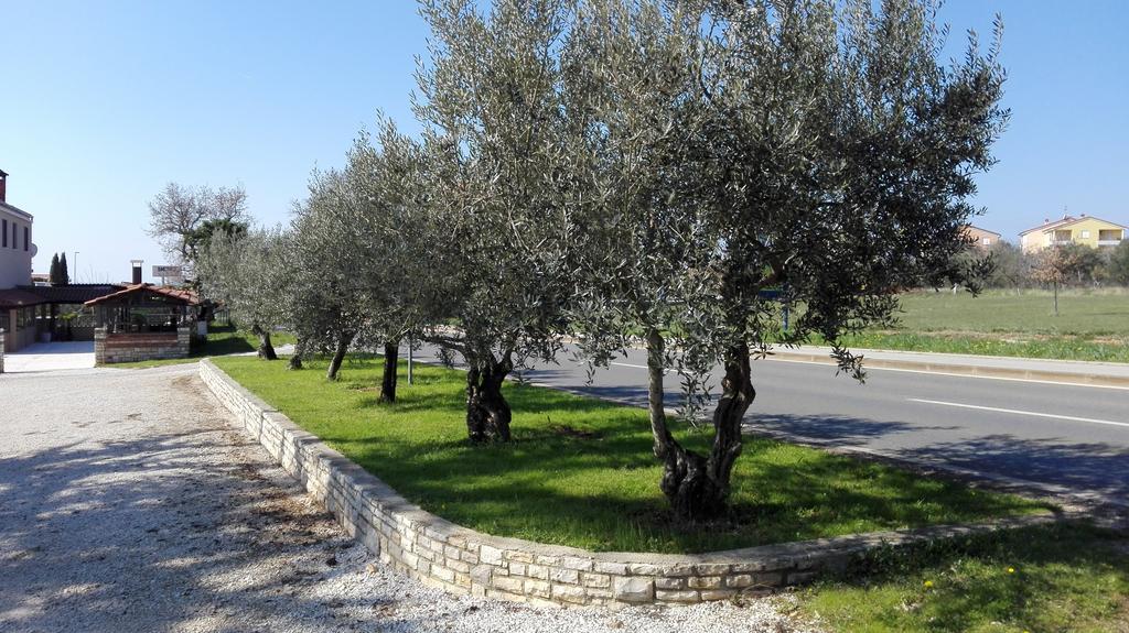 Apartment Luka Novigrad Istria Εξωτερικό φωτογραφία